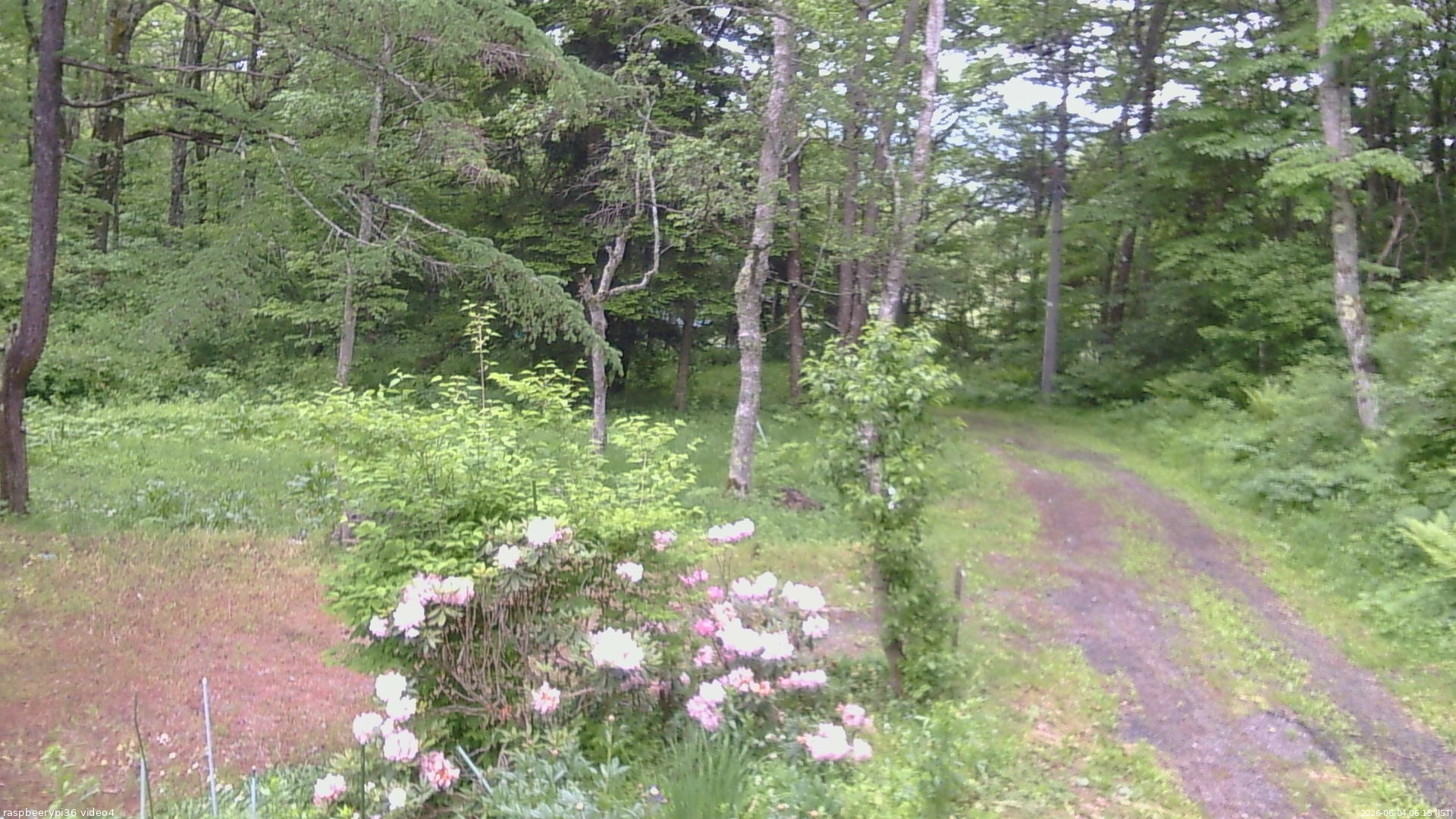 長野県菅平高原 ゆたか山荘 坂上 2026/06/04 06:15