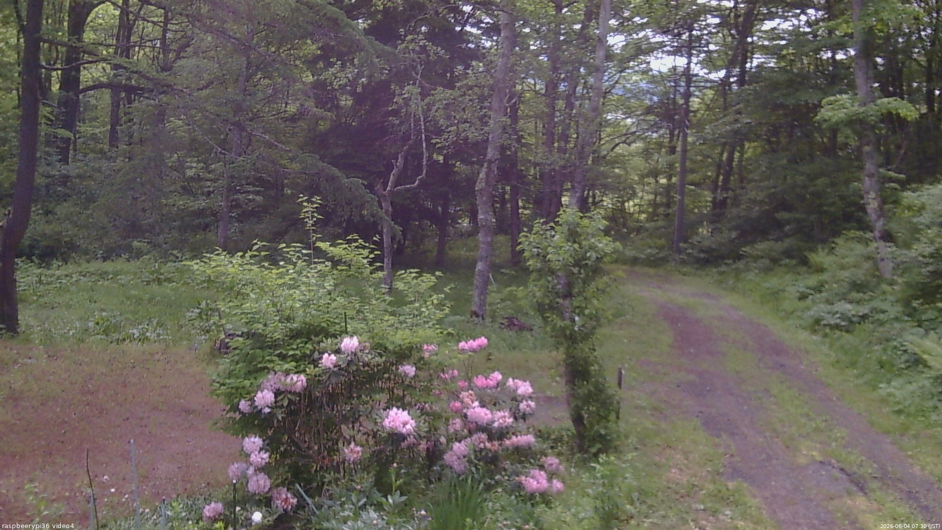 長野県菅平高原 ゆたか山荘 坂上 2026/06/04 07:30