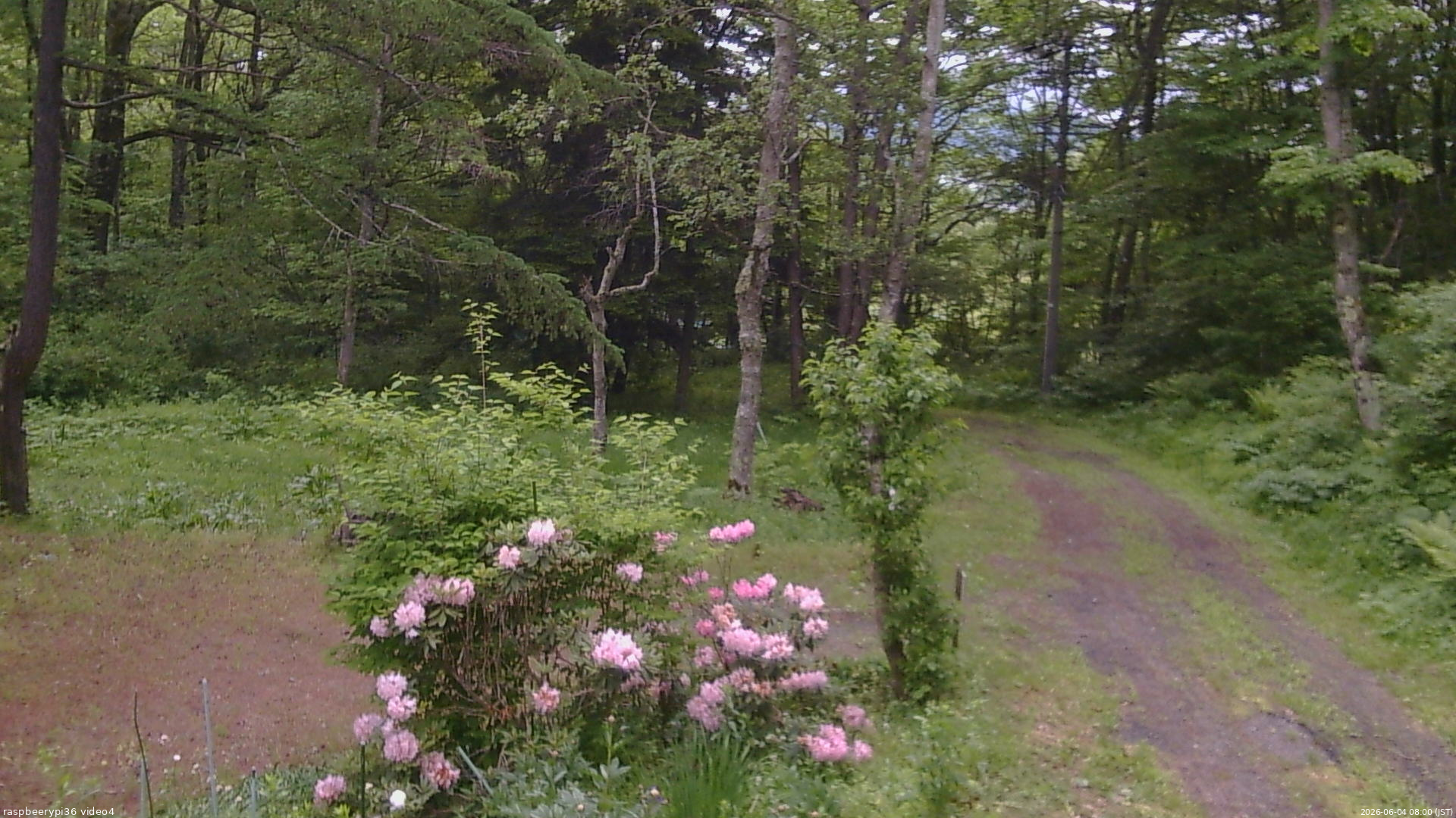 長野県菅平高原 ゆたか山荘 坂上 2026/06/04 08:00