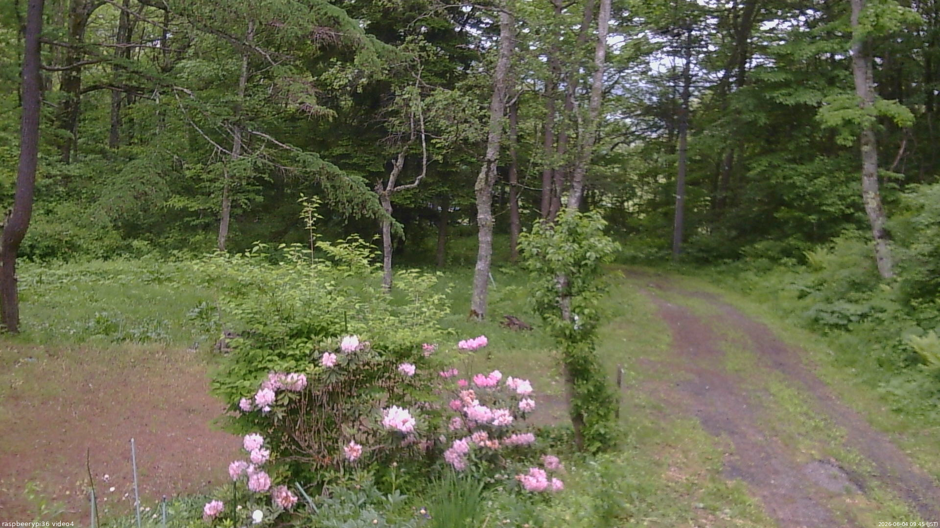 長野県菅平高原 ゆたか山荘 坂上 2026/06/04 09:45
