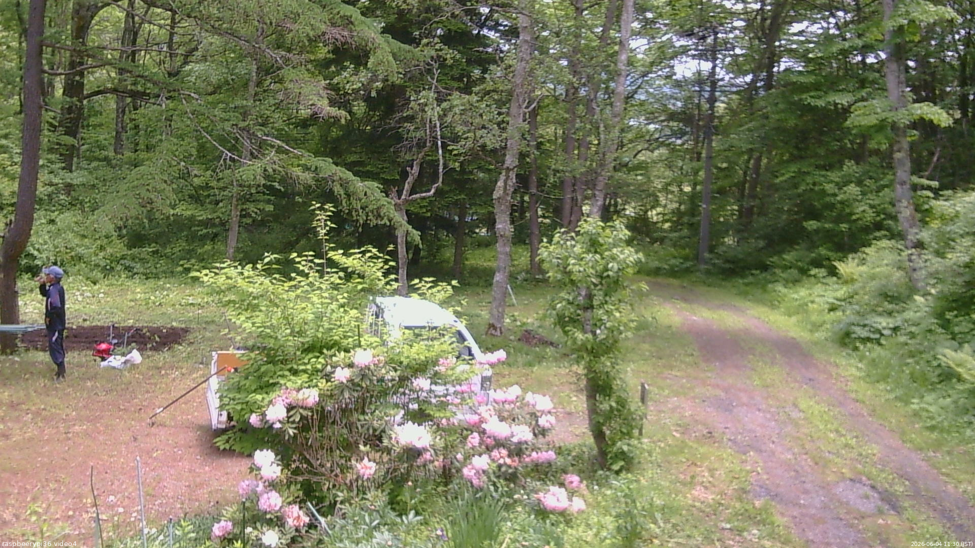 長野県菅平高原 ゆたか山荘 坂上 2026/06/04 11:30