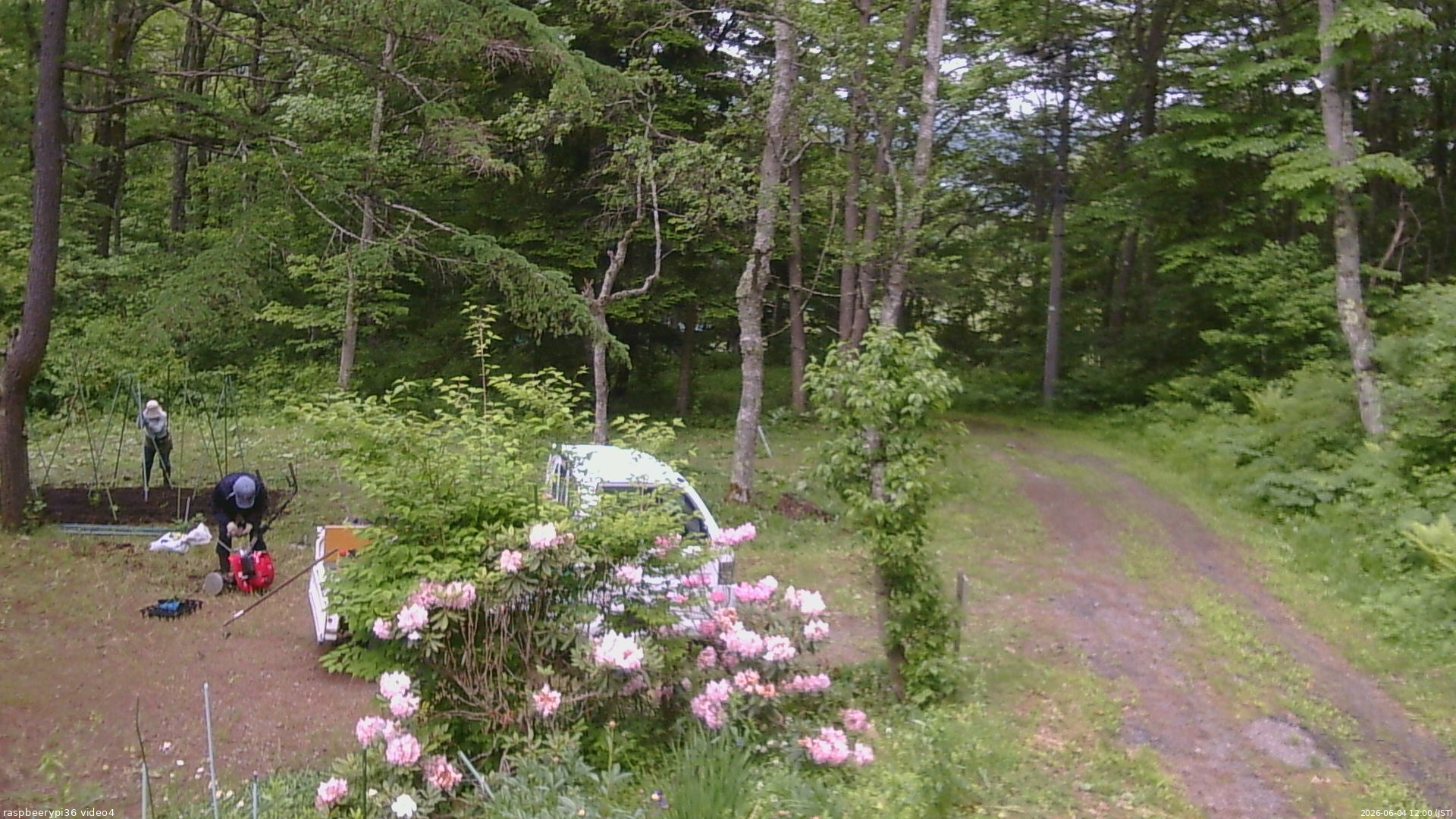 長野県菅平高原 ゆたか山荘 坂上 2026/06/04 12:00