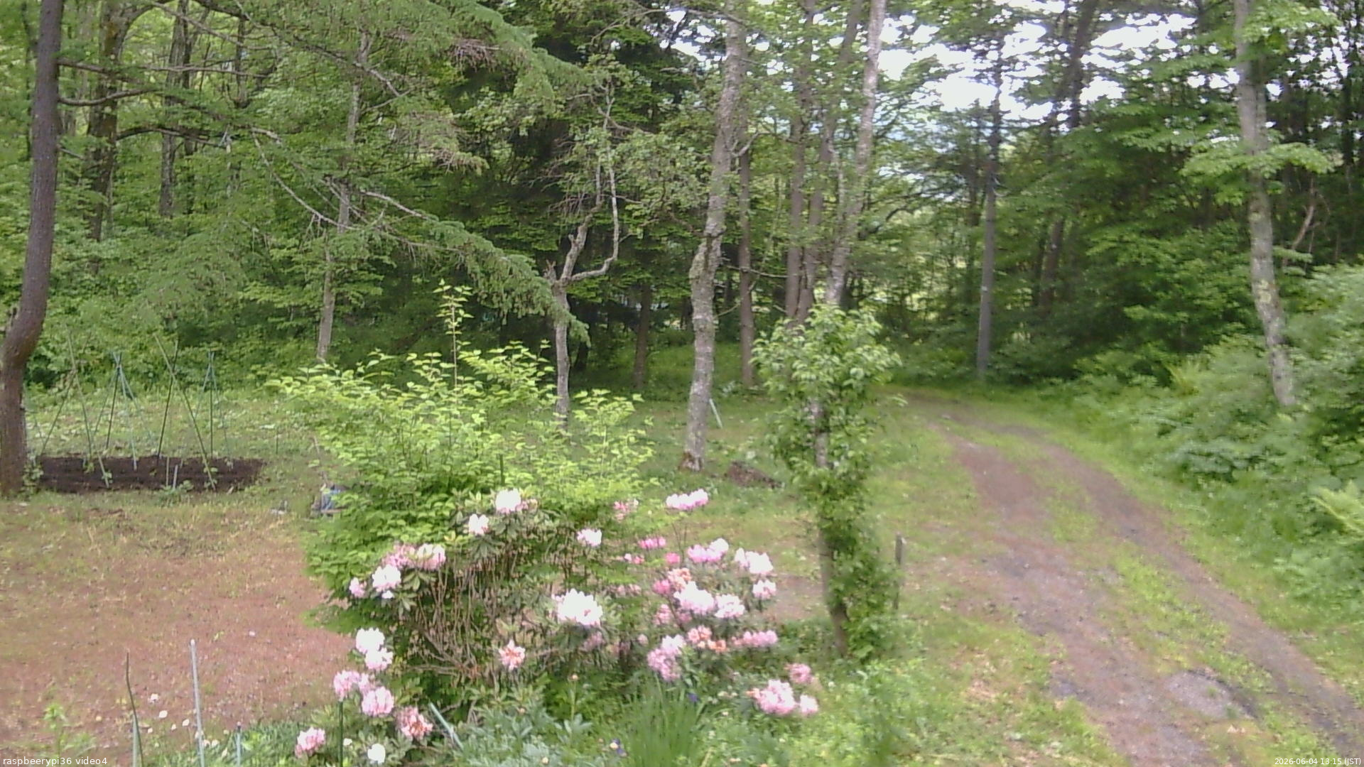 長野県菅平高原 ゆたか山荘 坂上 2026/06/04 13:15