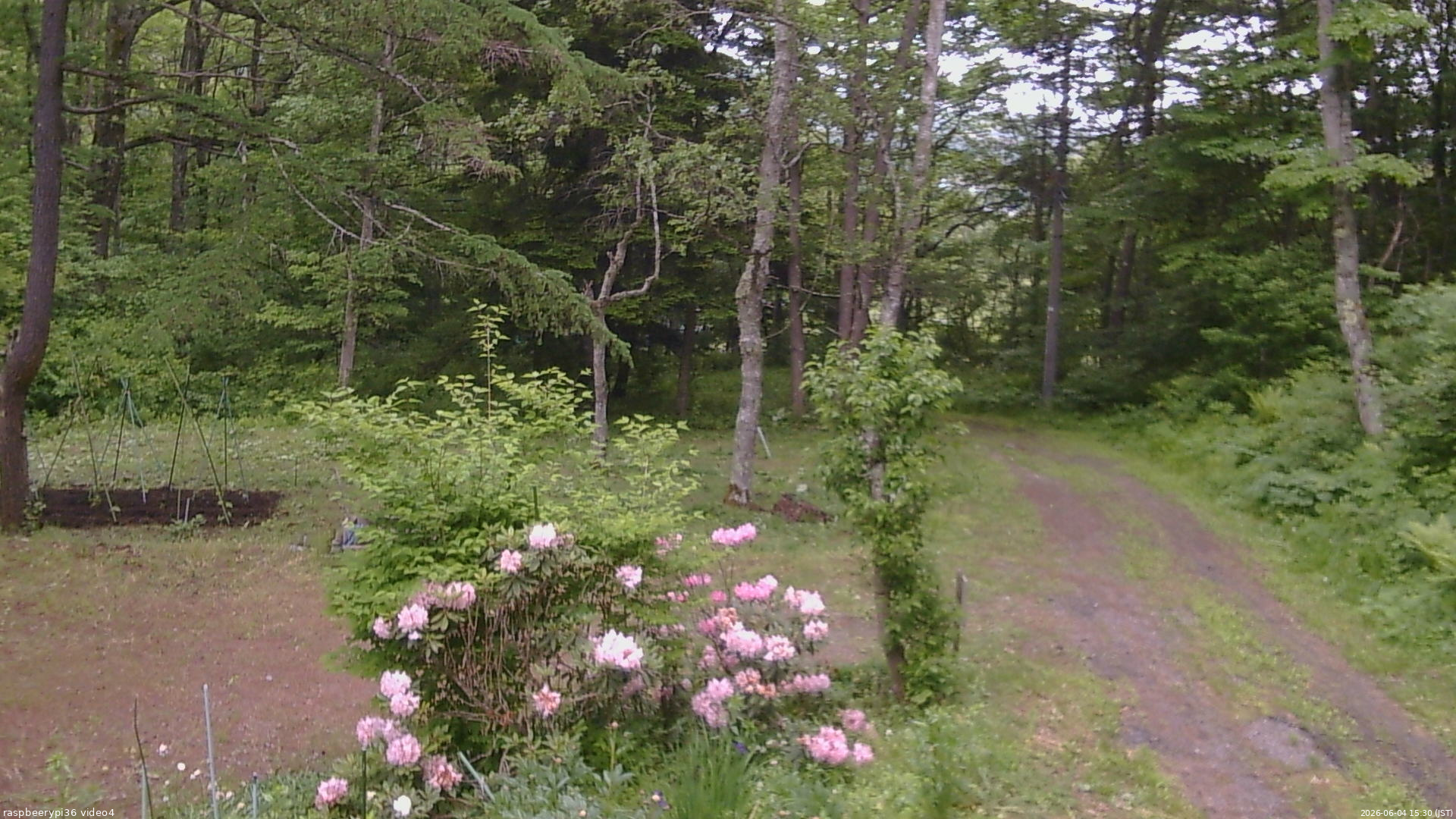 長野県菅平高原 ゆたか山荘 坂上 2026/06/04 15:30