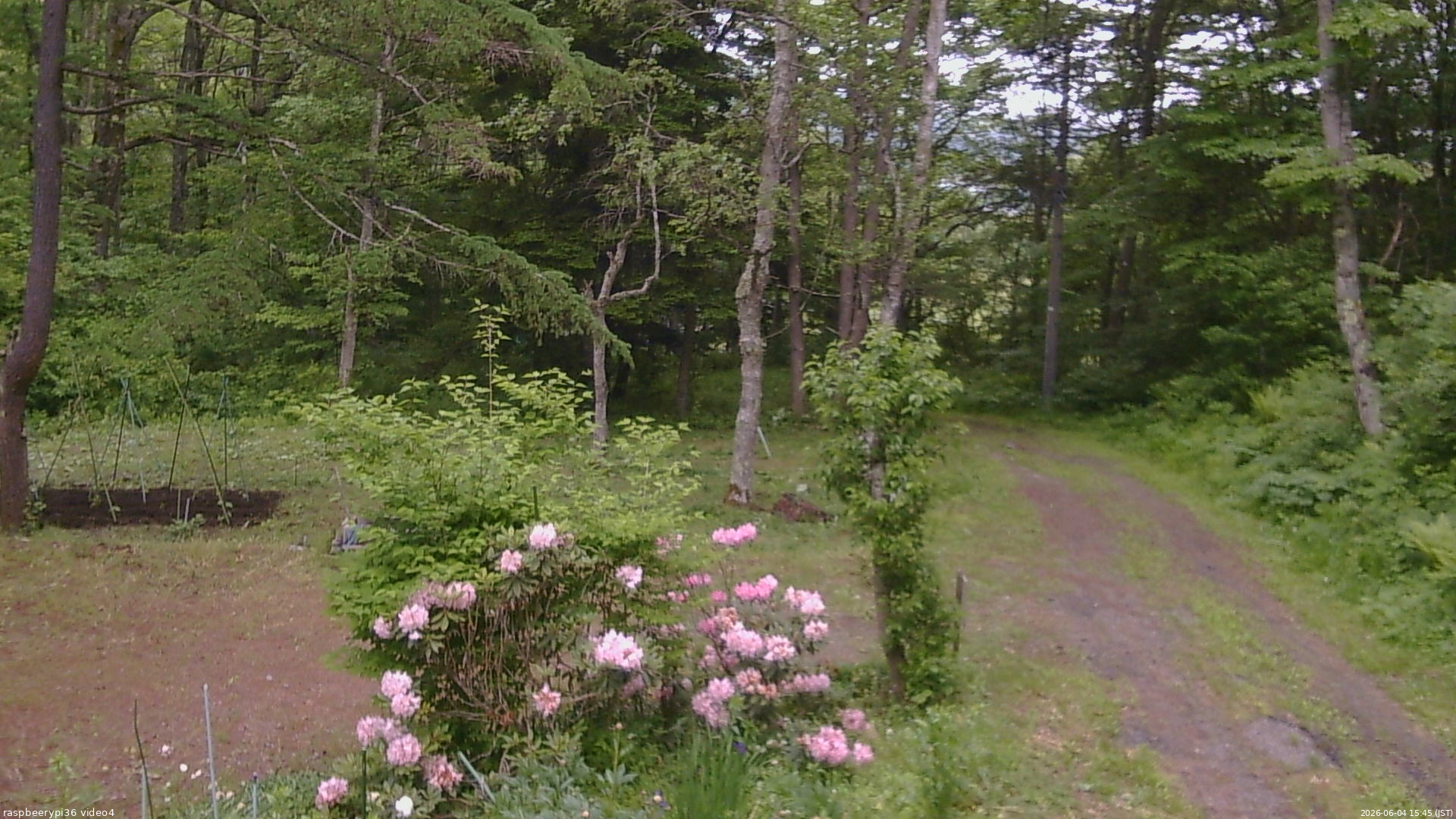 長野県菅平高原 ゆたか山荘 坂上 2026/06/04 15:45