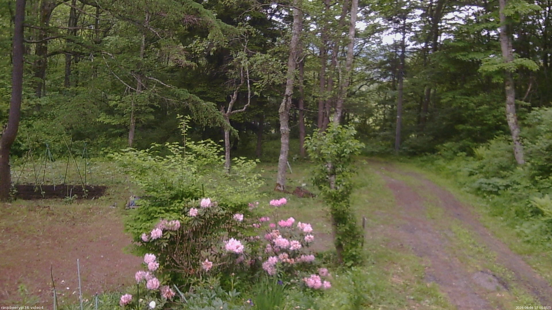 長野県菅平高原 ゆたか山荘 坂上 2026/06/04 17:00