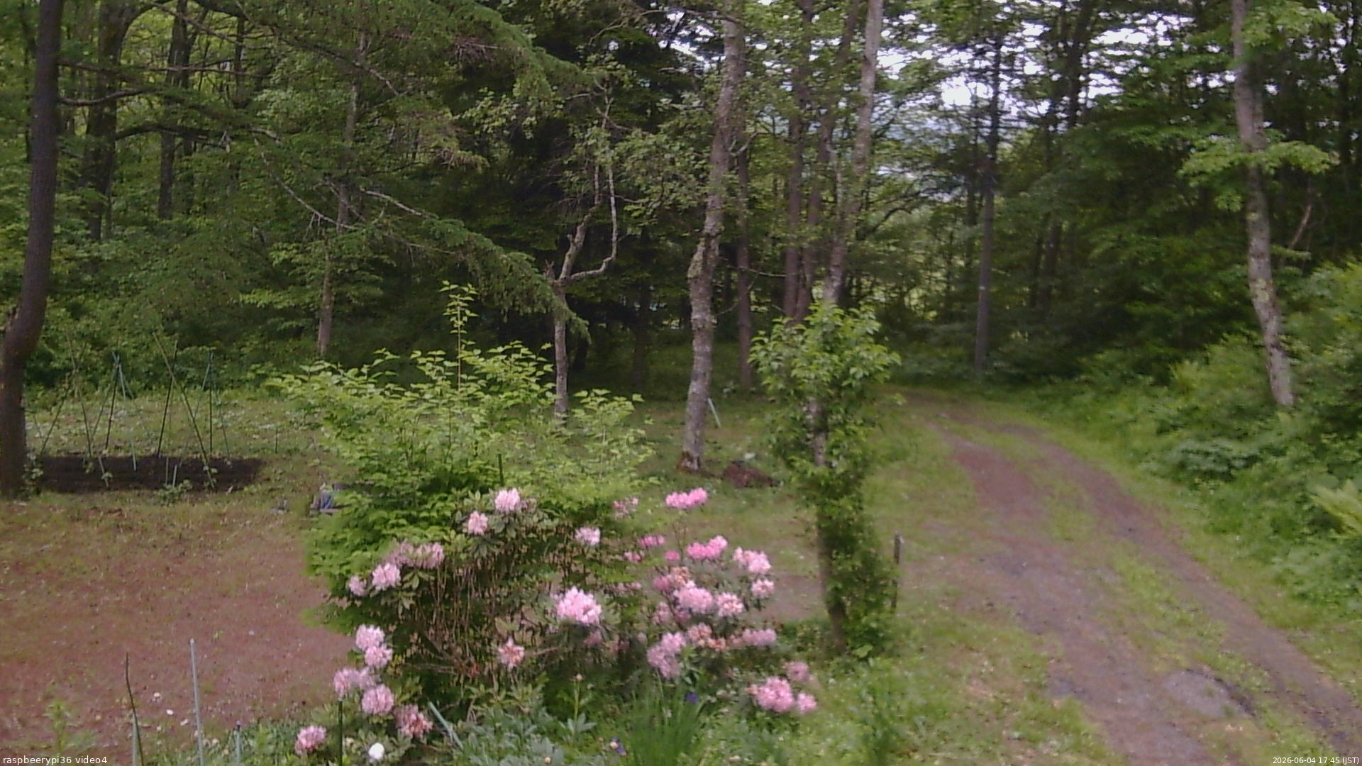 長野県菅平高原 ゆたか山荘 坂上 2026/06/04 17:45
