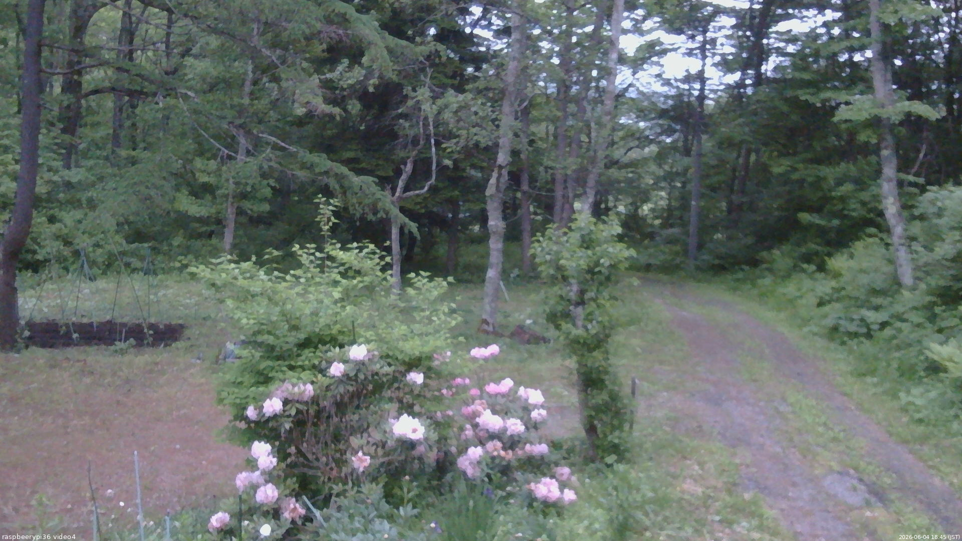 長野県菅平高原 ゆたか山荘 坂上 2026/06/04 18:45