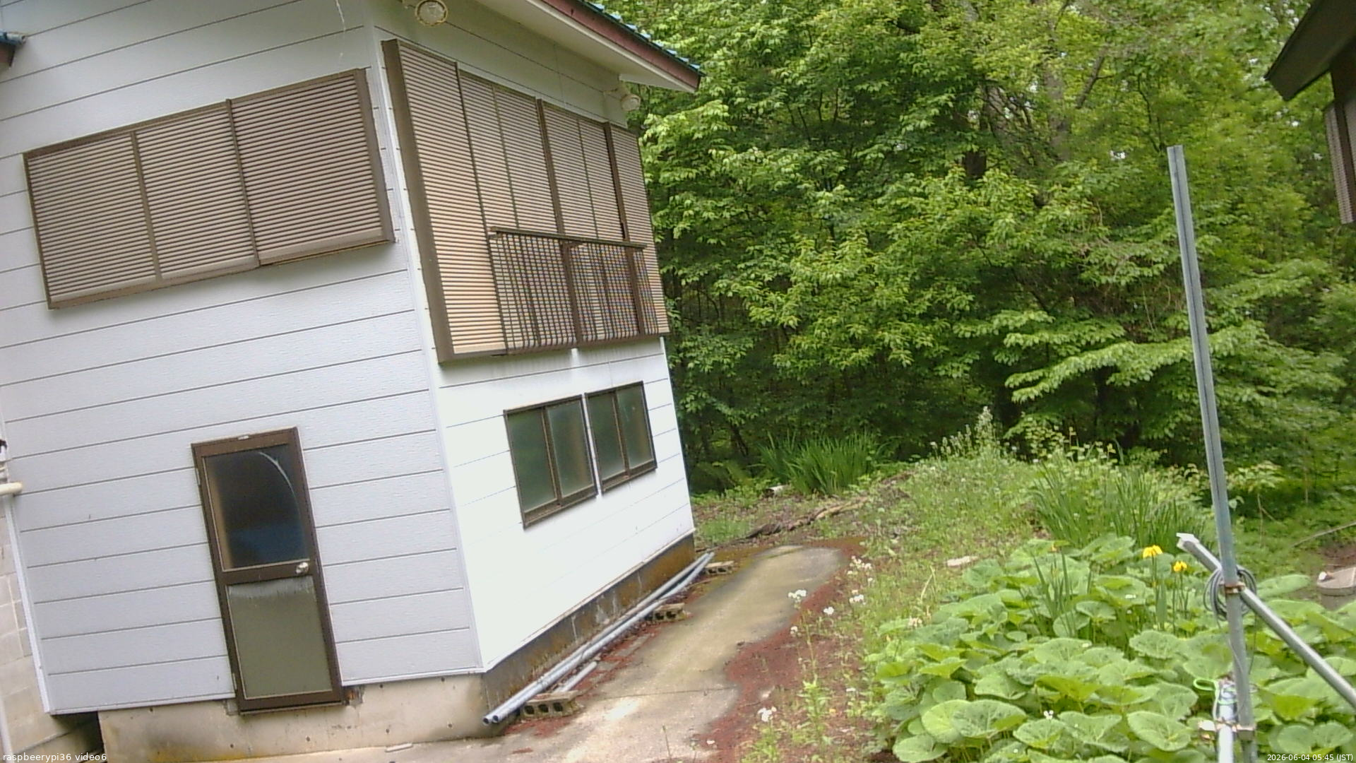 長野県菅平高原 ゆたか山荘 坂下 2026/06/04 05:45