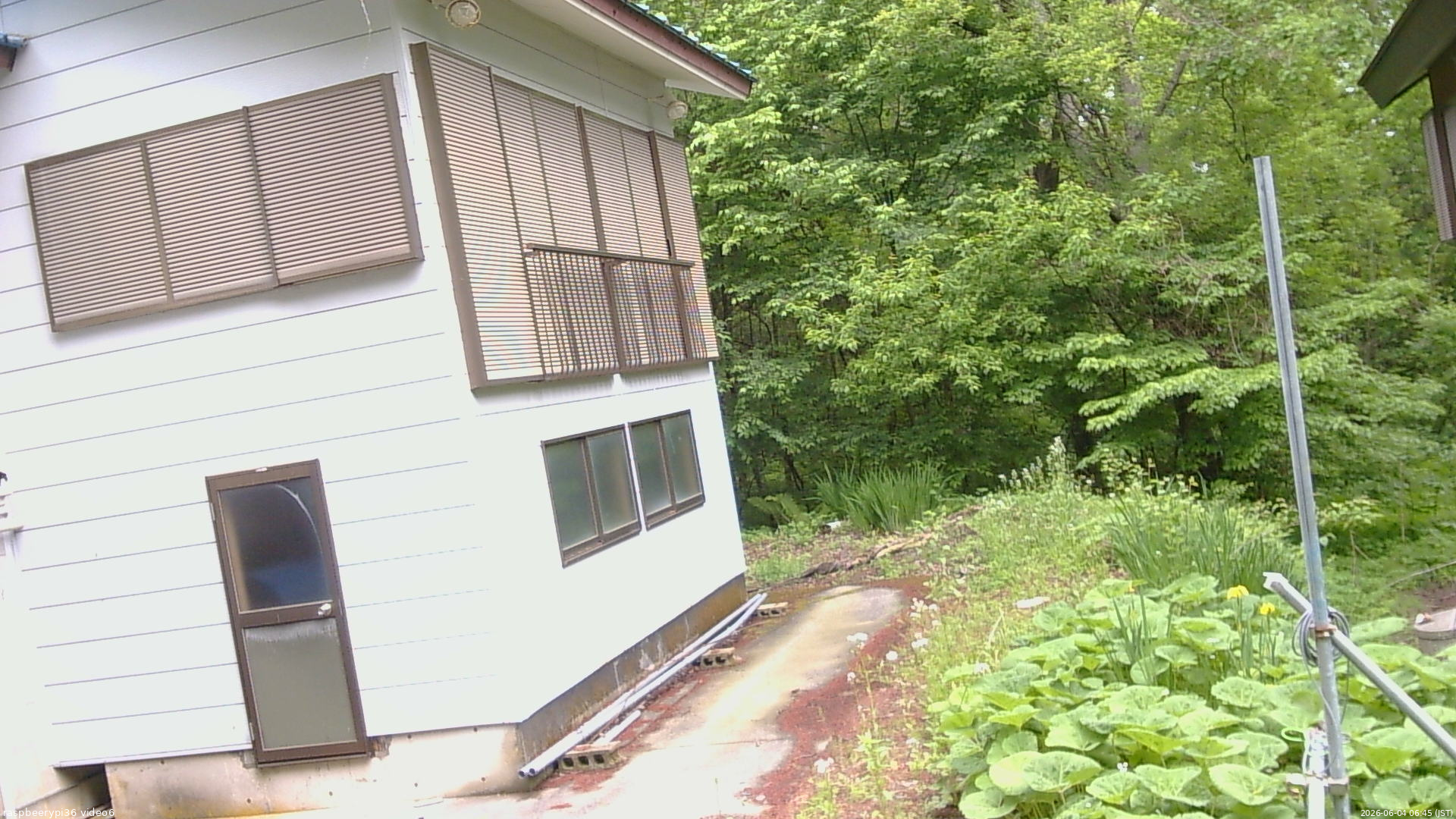 長野県菅平高原 ゆたか山荘 坂下 2026/06/04 06:45