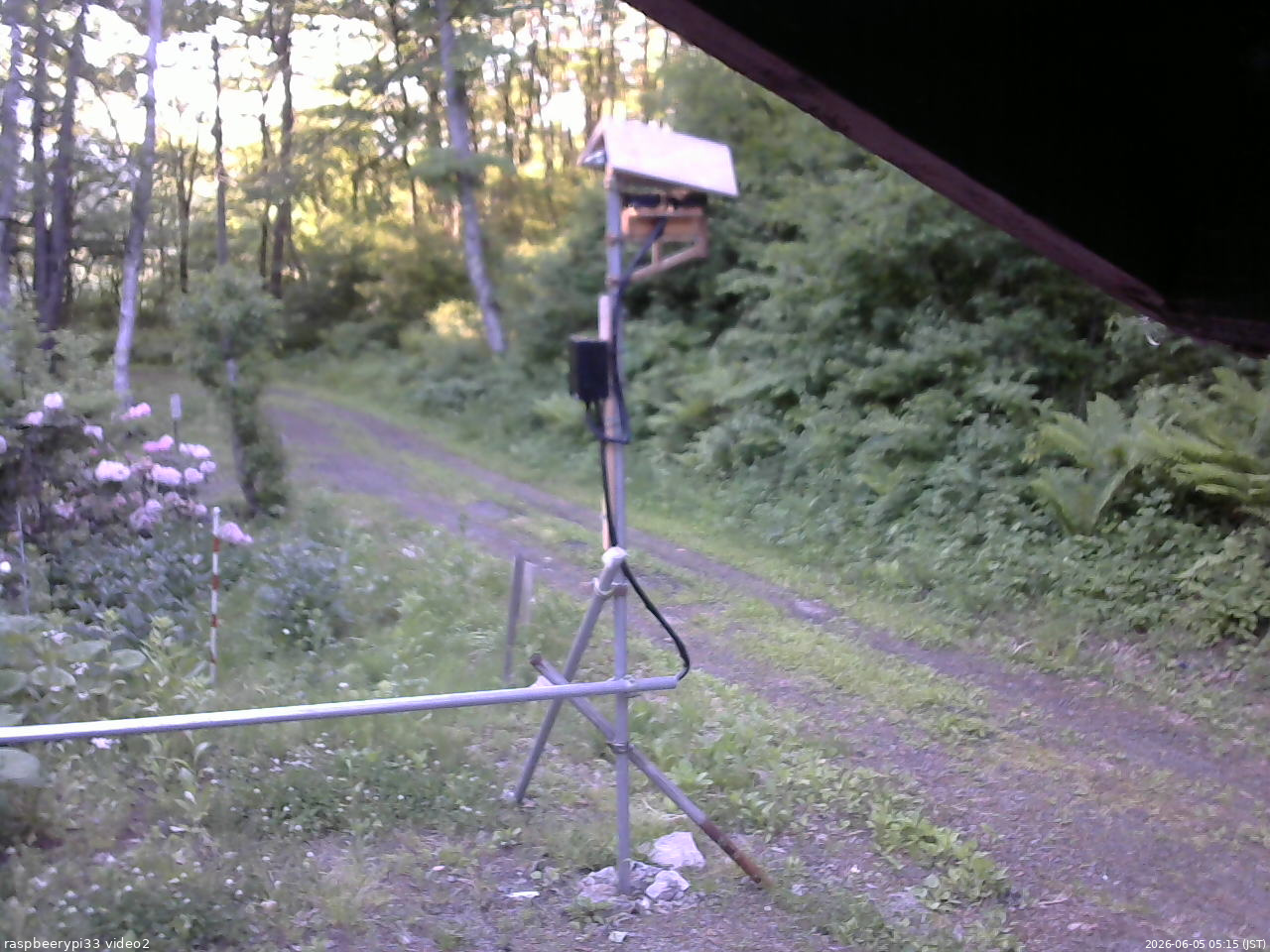 長野県菅平高原 ゆたか山荘 南側 2026/06/05 05:15