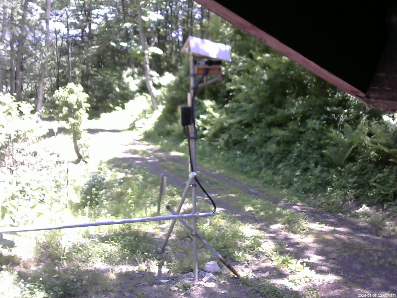 長野県菅平高原 ゆたか山荘 南側 2026/06/05 12:00