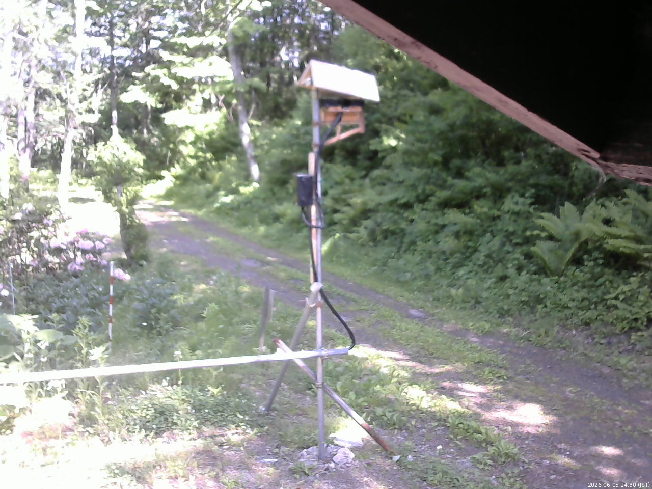 長野県菅平高原 ゆたか山荘 南側 2026/06/05 14:30