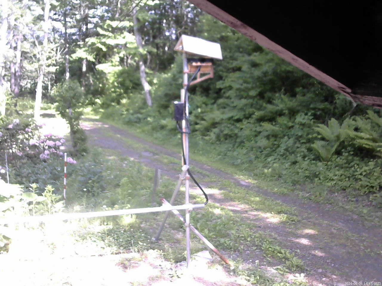 長野県菅平高原 ゆたか山荘 南側 2026/06/05 14:45