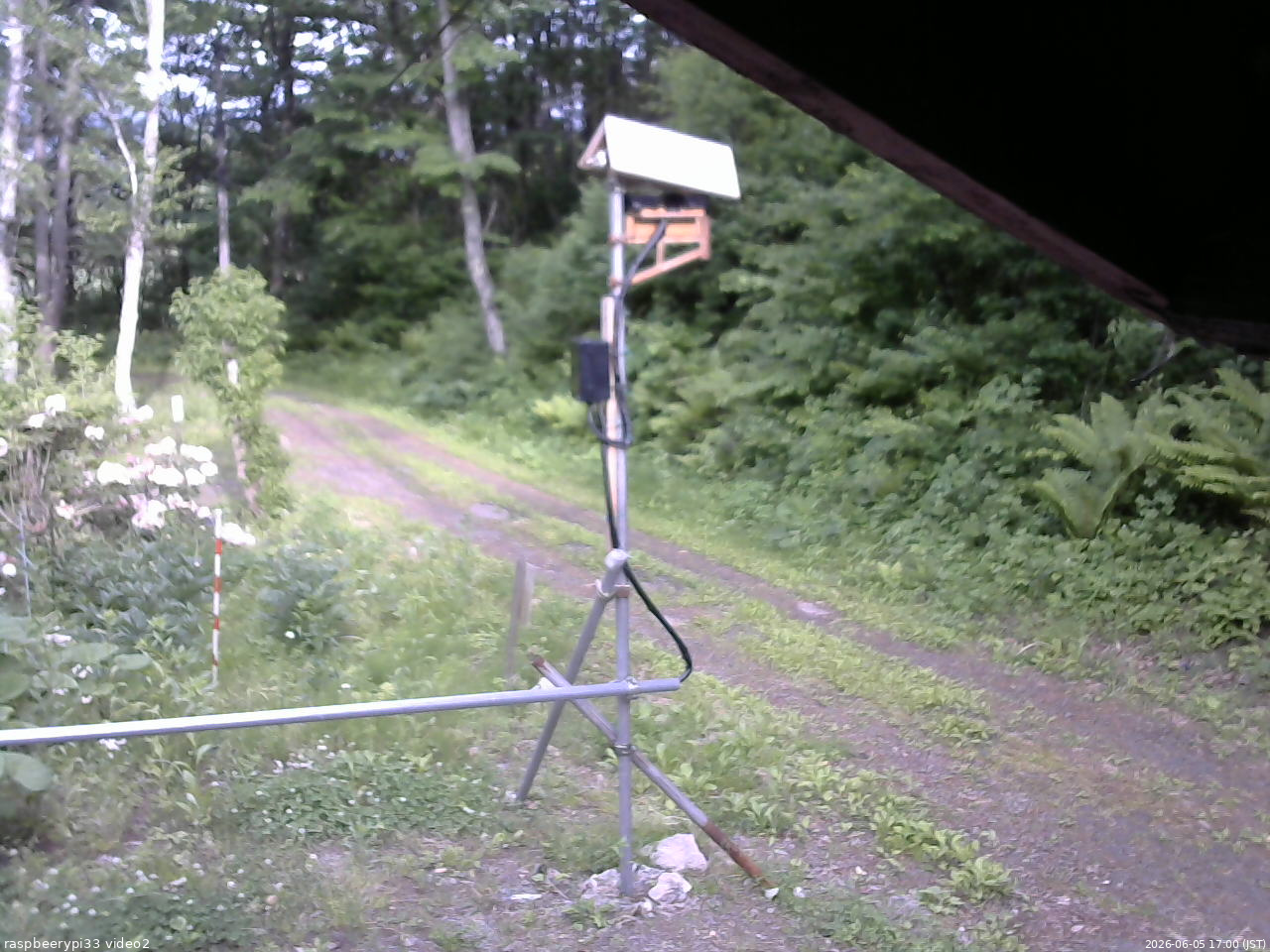 長野県菅平高原 ゆたか山荘 南側 2026/06/05 17:00