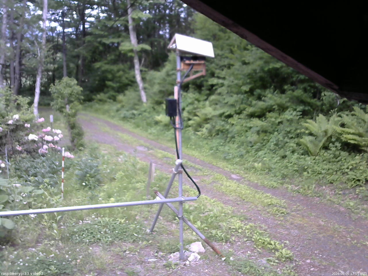 長野県菅平高原 ゆたか山荘 南側 2026/06/05 17:15