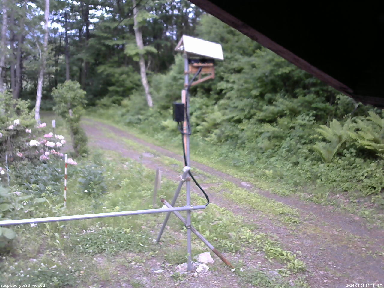 長野県菅平高原 ゆたか山荘 南側 2026/06/05 17:45