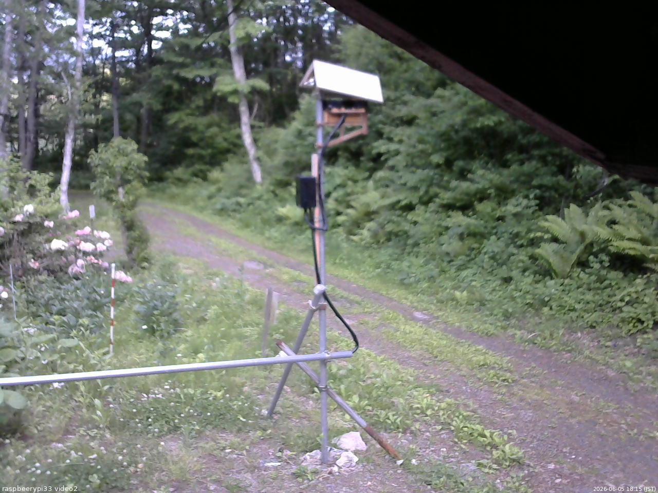 長野県菅平高原 ゆたか山荘 南側 2026/06/05 18:15