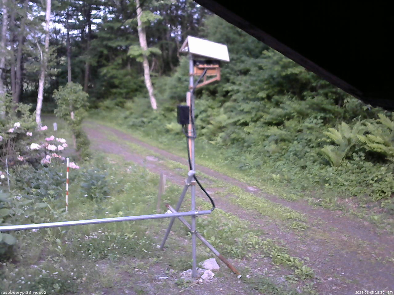 長野県菅平高原 ゆたか山荘 南側 2026/06/05 18:30