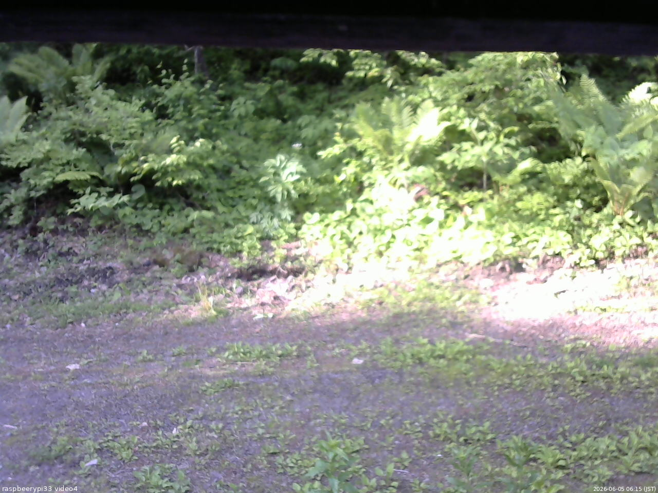 長野県菅平高原 ゆたか山荘 東側(坂下) 2026/06/05 06:15