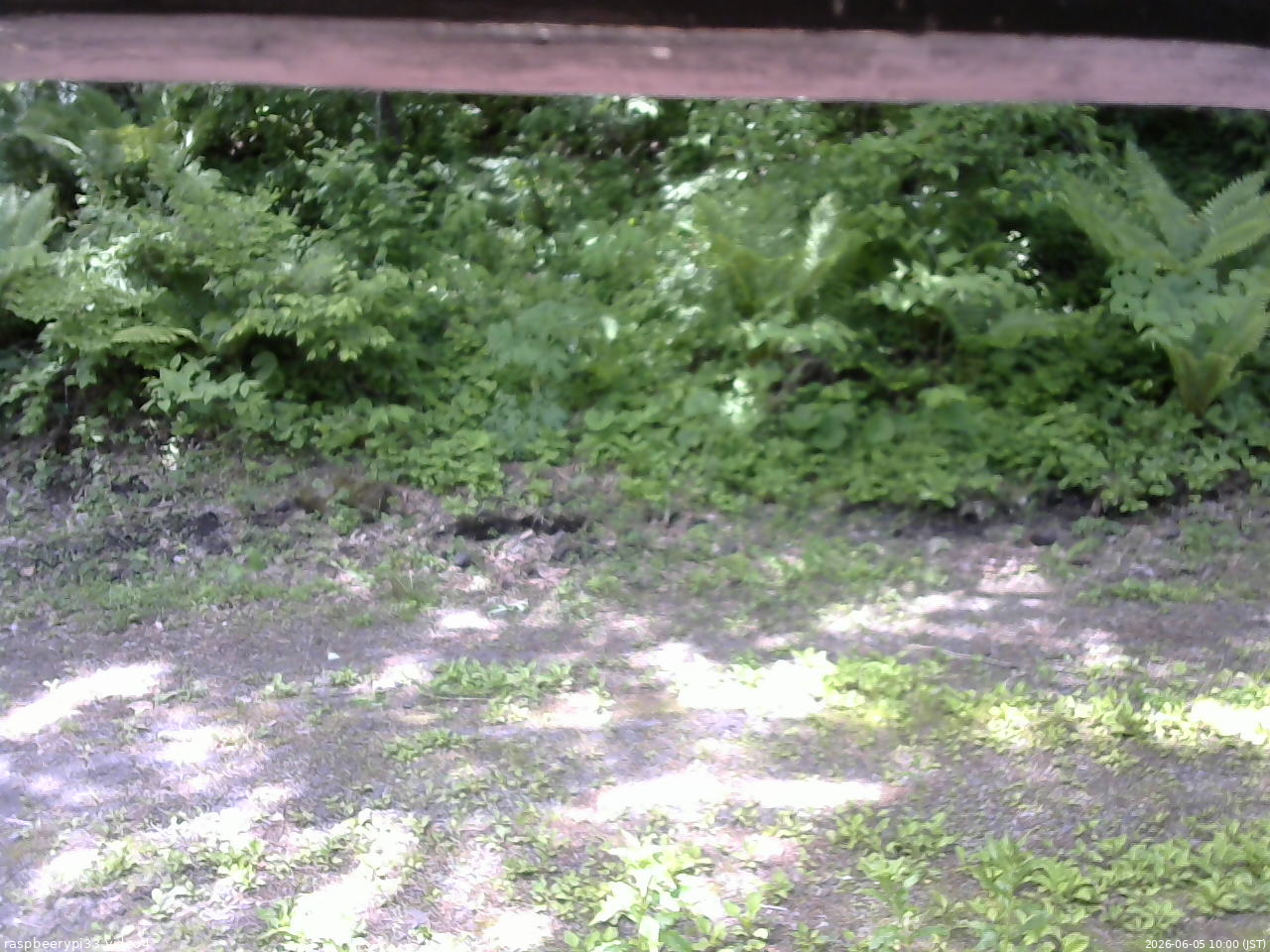 長野県菅平高原 ゆたか山荘 東側(坂下) 2026/06/05 10:00