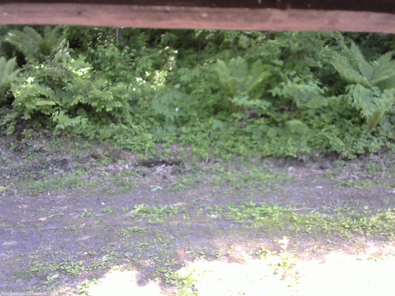 長野県菅平高原 ゆたか山荘 東側(坂下) 2026/06/05 14:15