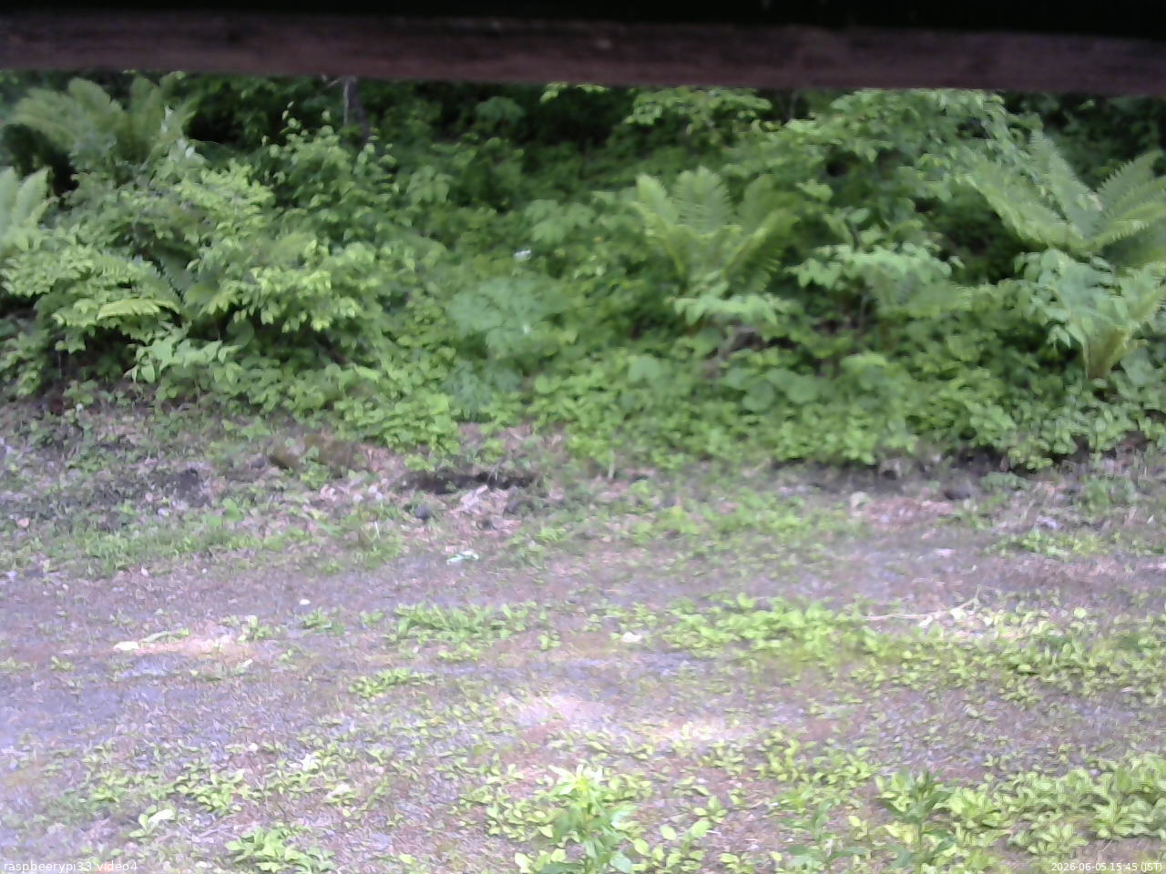 長野県菅平高原 ゆたか山荘 東側(坂下) 2026/06/05 15:45