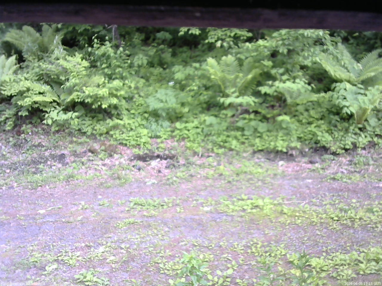 長野県菅平高原 ゆたか山荘 東側(坂下) 2026/06/05 17:15