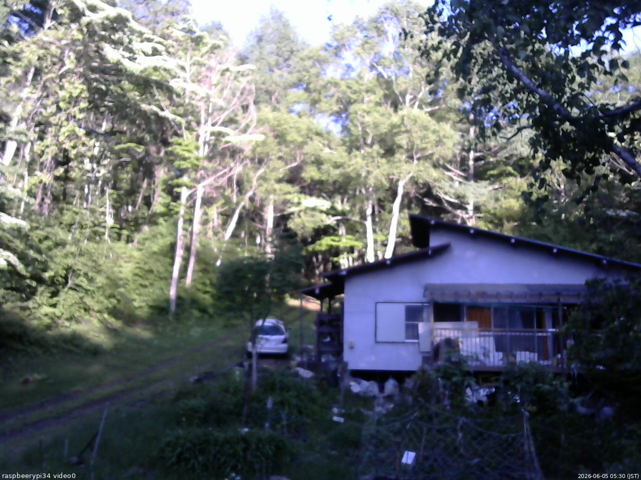 長野県菅平高原 ゆたか山荘 西側(坂上) 2026/06/05 05:30
