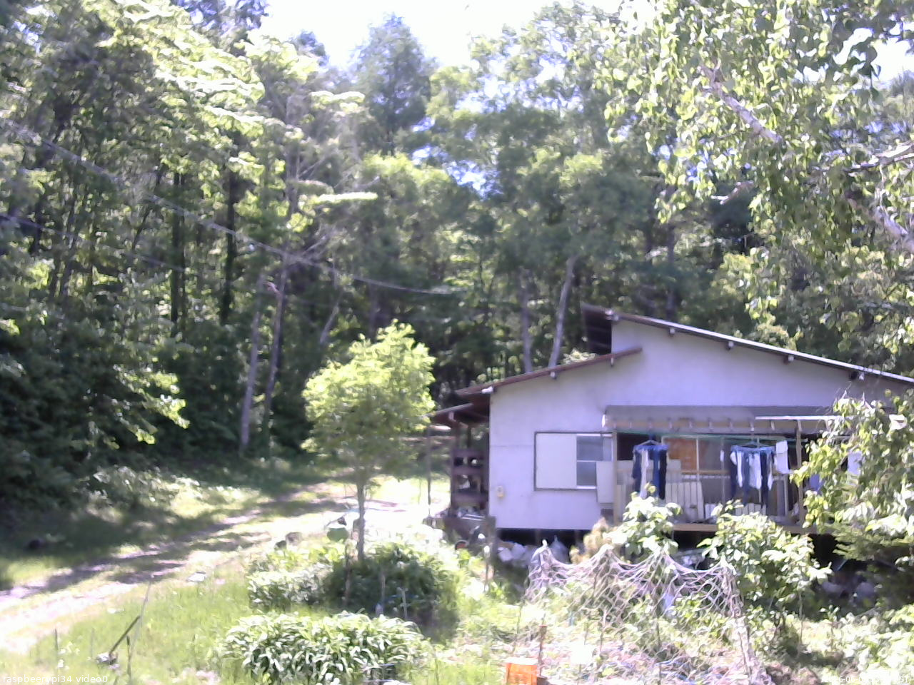 長野県菅平高原 ゆたか山荘 西側(坂上) 2026/06/05 13:30