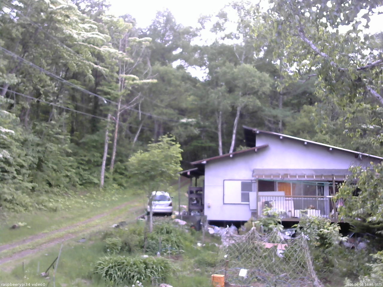 長野県菅平高原 ゆたか山荘 西側(坂上) 2026/06/05 16:45