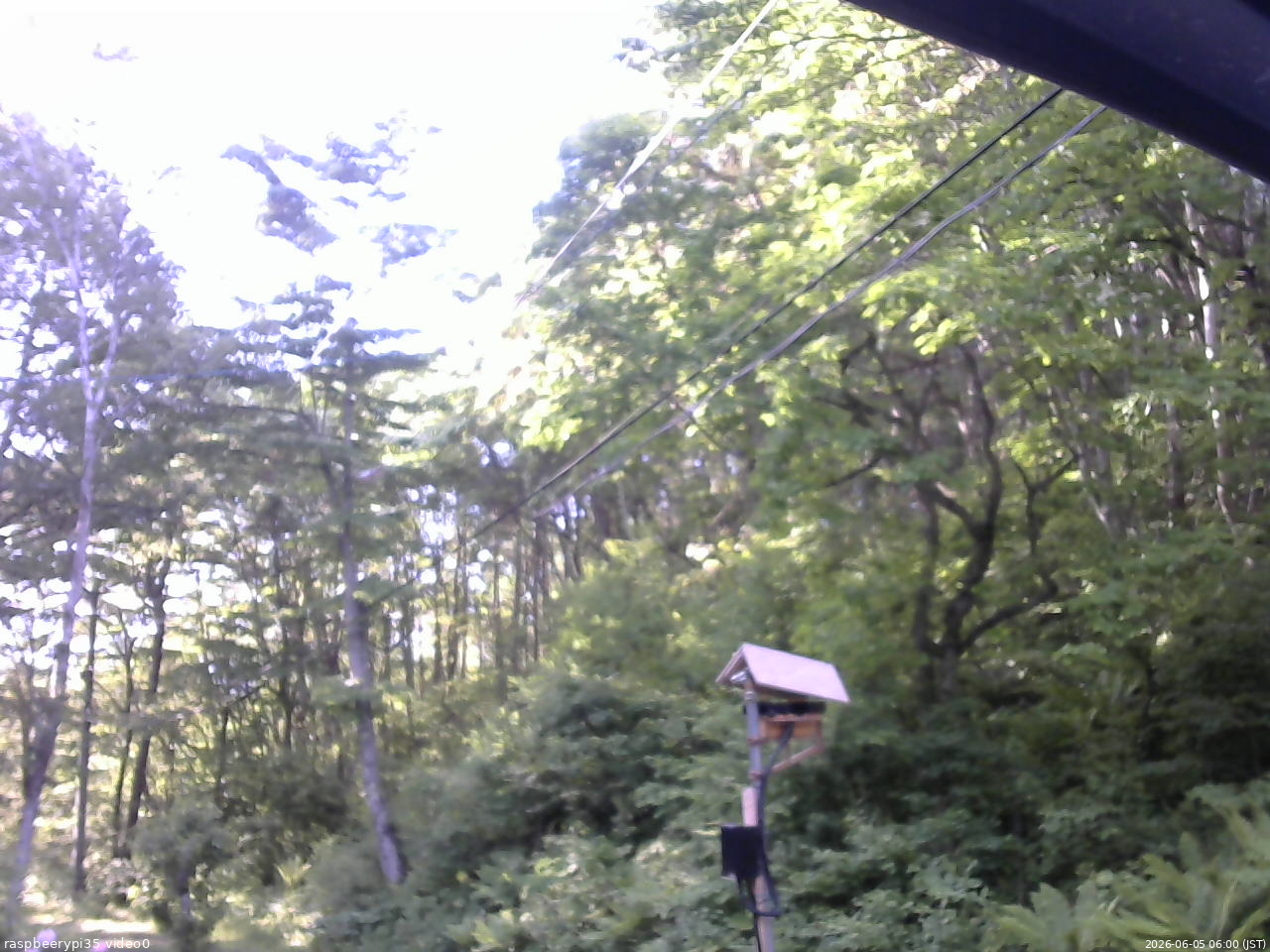 長野県菅平高原 ゆたか山荘 温度計 2026/06/05 06:00