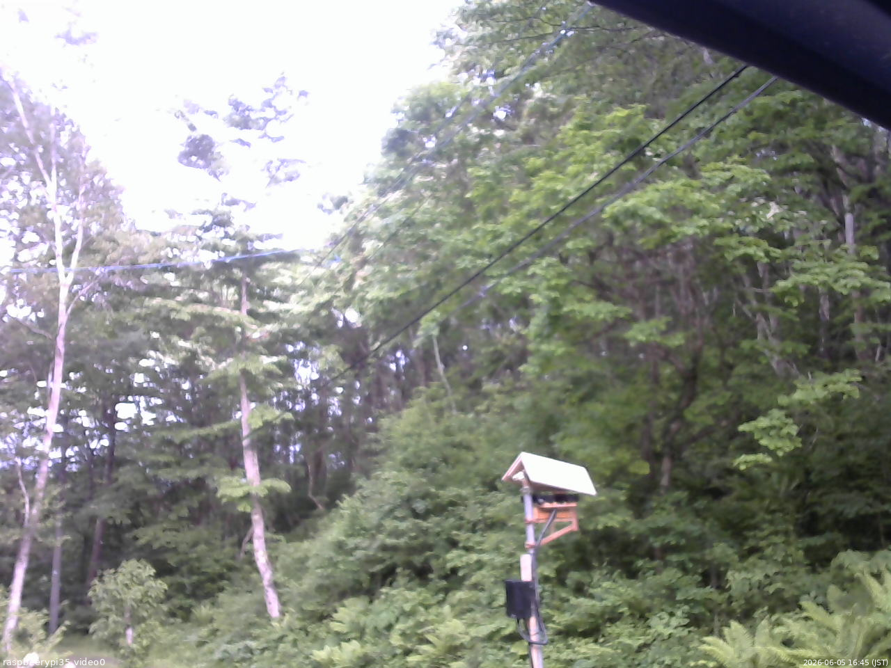 長野県菅平高原 ゆたか山荘 温度計 2026/06/05 16:45