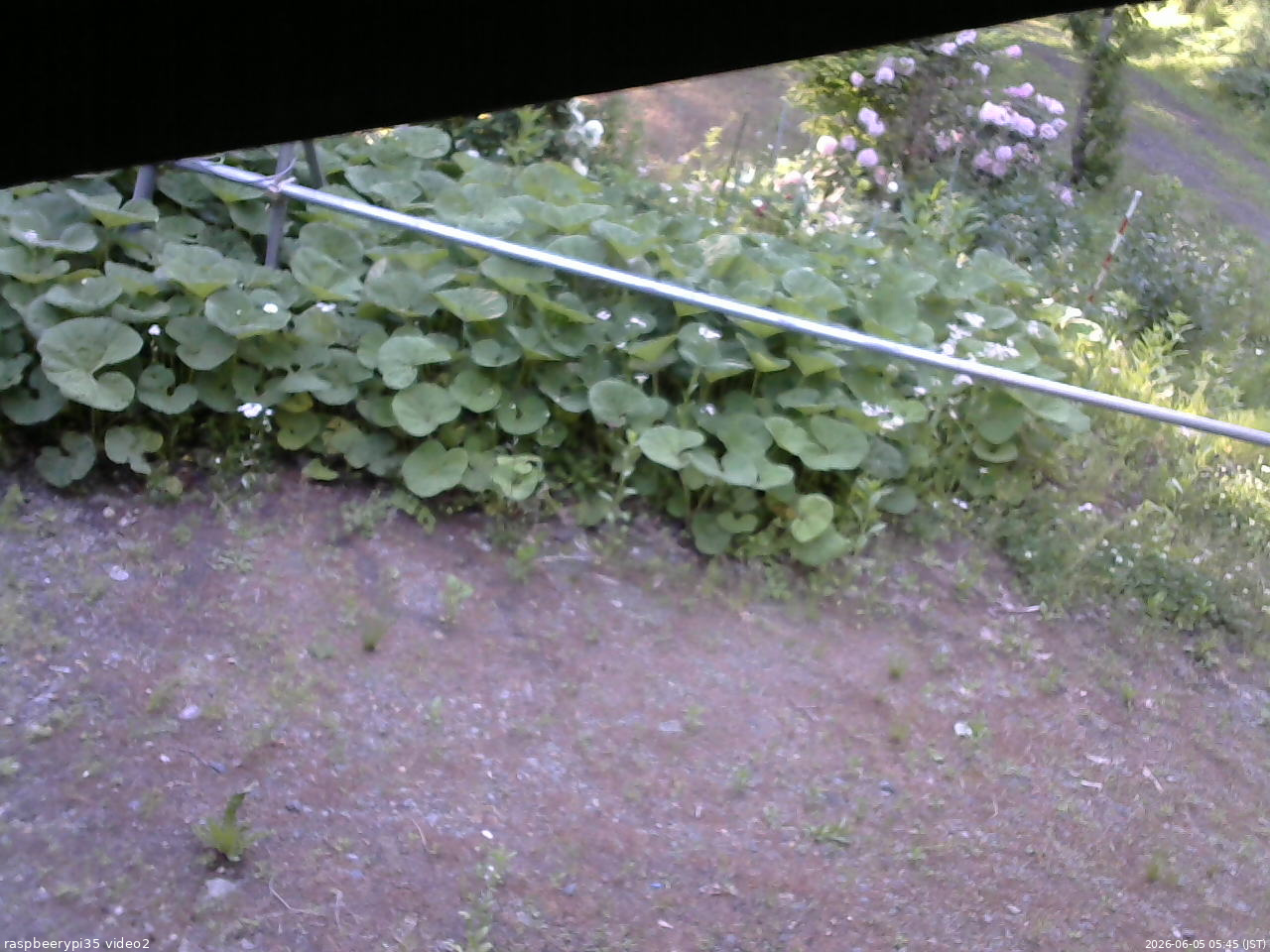長野県菅平高原 ゆたか山荘 駐車場 2026/06/05 05:45