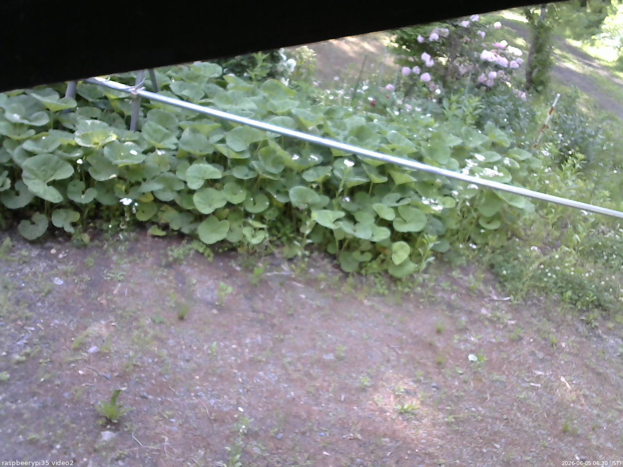 長野県菅平高原 ゆたか山荘 駐車場 2026/06/05 06:30