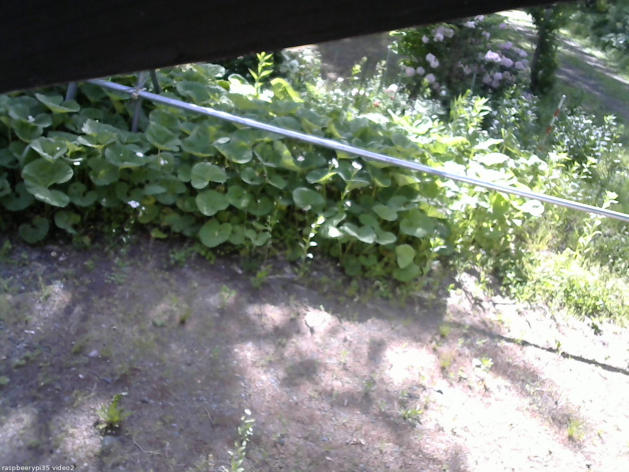 長野県菅平高原 ゆたか山荘 駐車場 2026/06/05 07:45