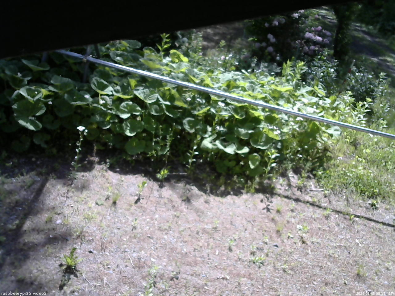 長野県菅平高原 ゆたか山荘 駐車場 2026/06/05 08:15
