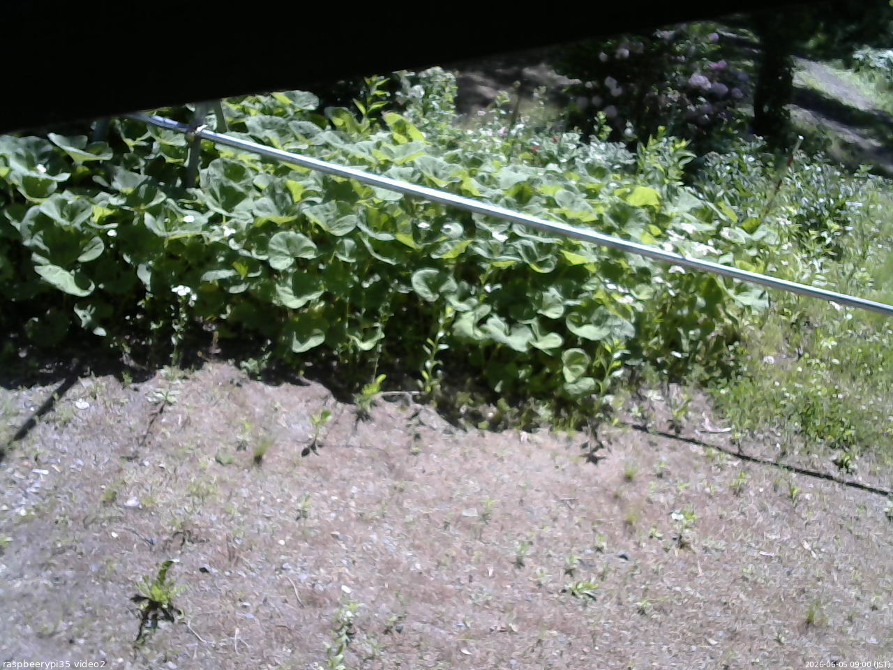 長野県菅平高原 ゆたか山荘 駐車場 2026/06/05 09:00