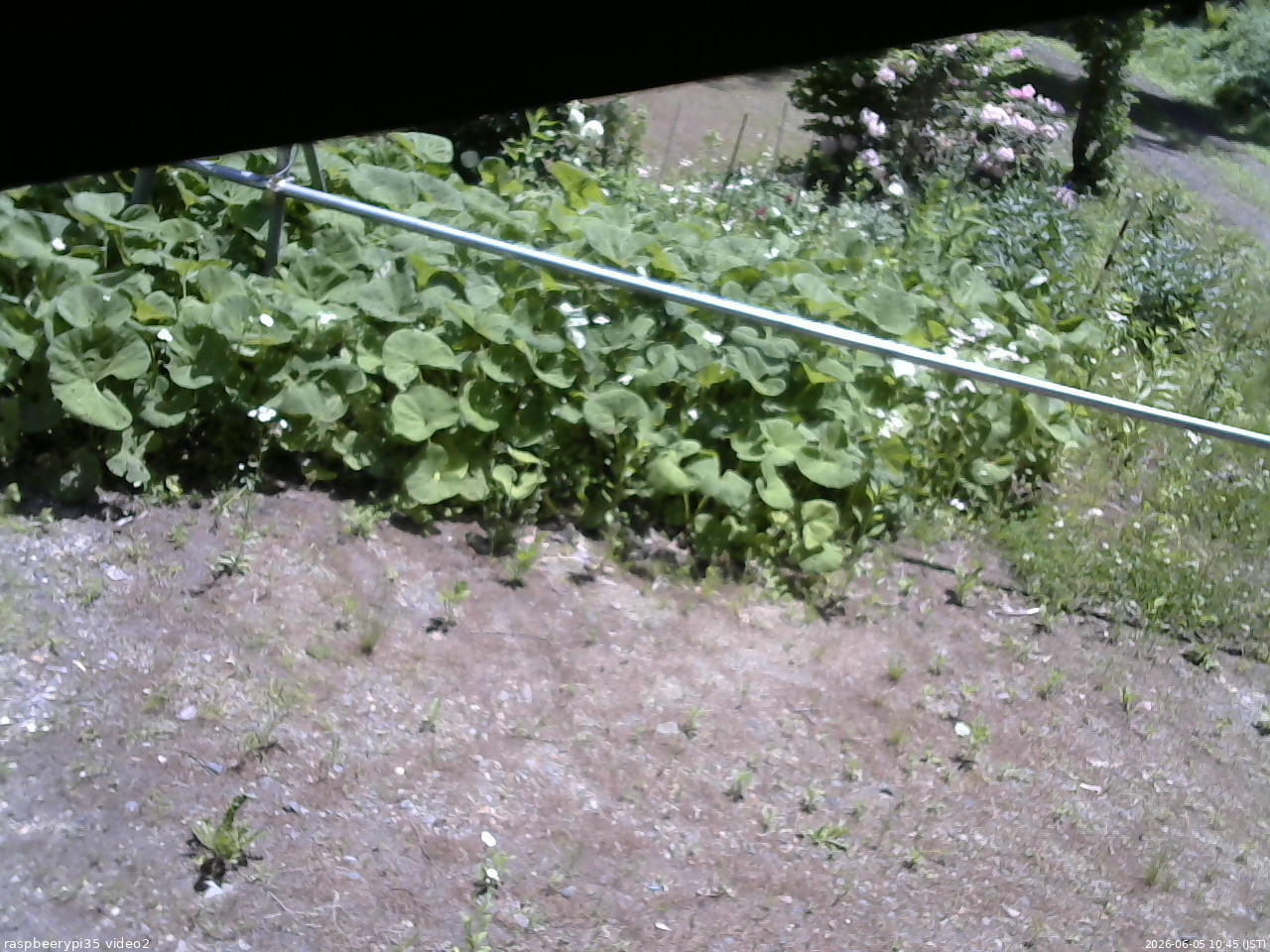 長野県菅平高原 ゆたか山荘 駐車場 2026/06/05 10:45