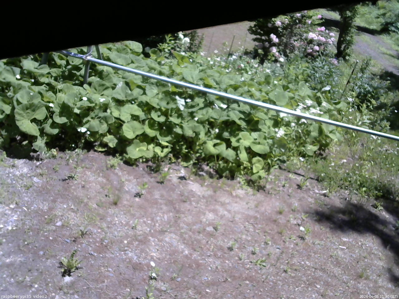 長野県菅平高原 ゆたか山荘 駐車場 2026/06/05 11:30