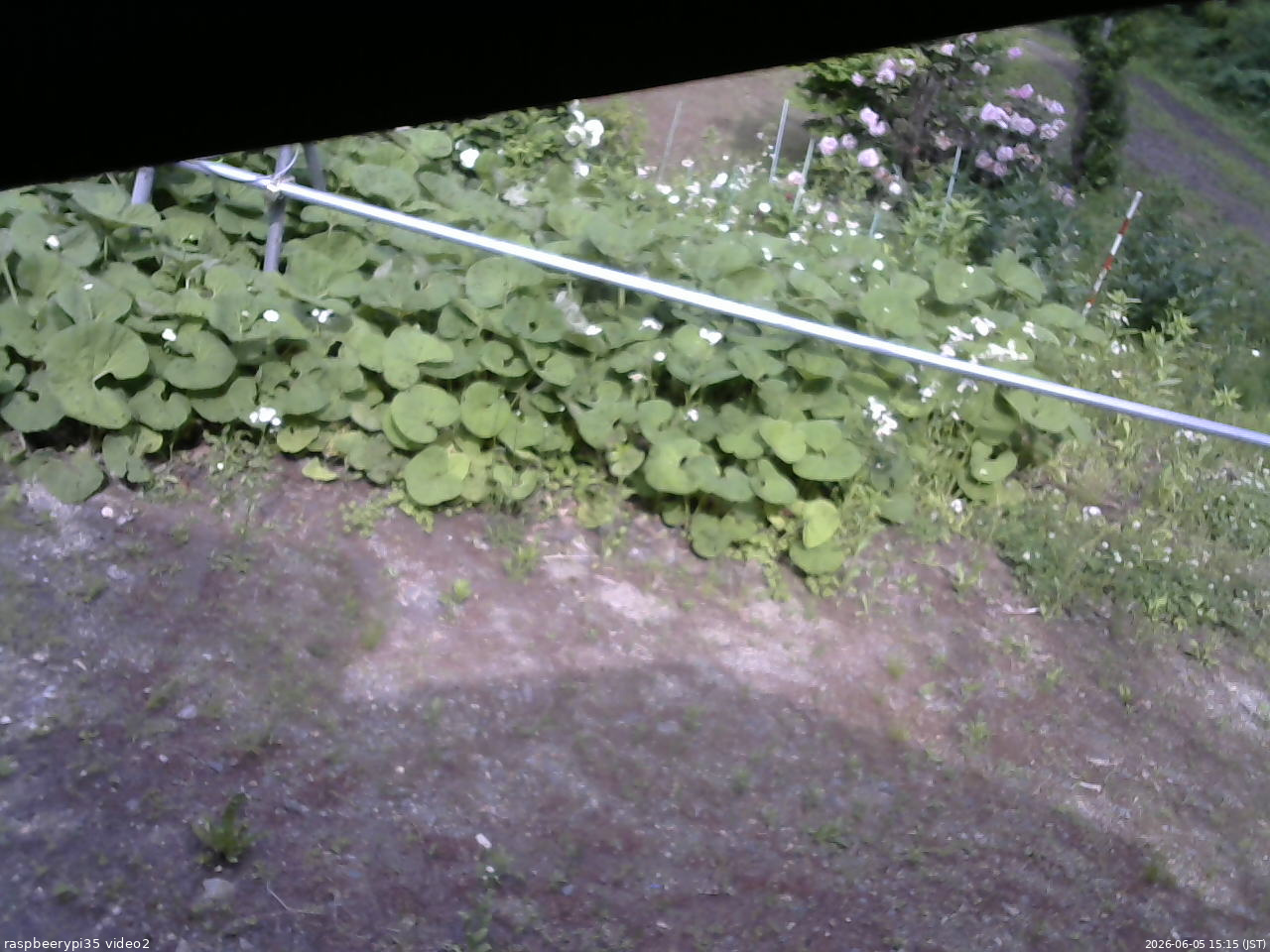 長野県菅平高原 ゆたか山荘 駐車場 2026/06/05 15:15