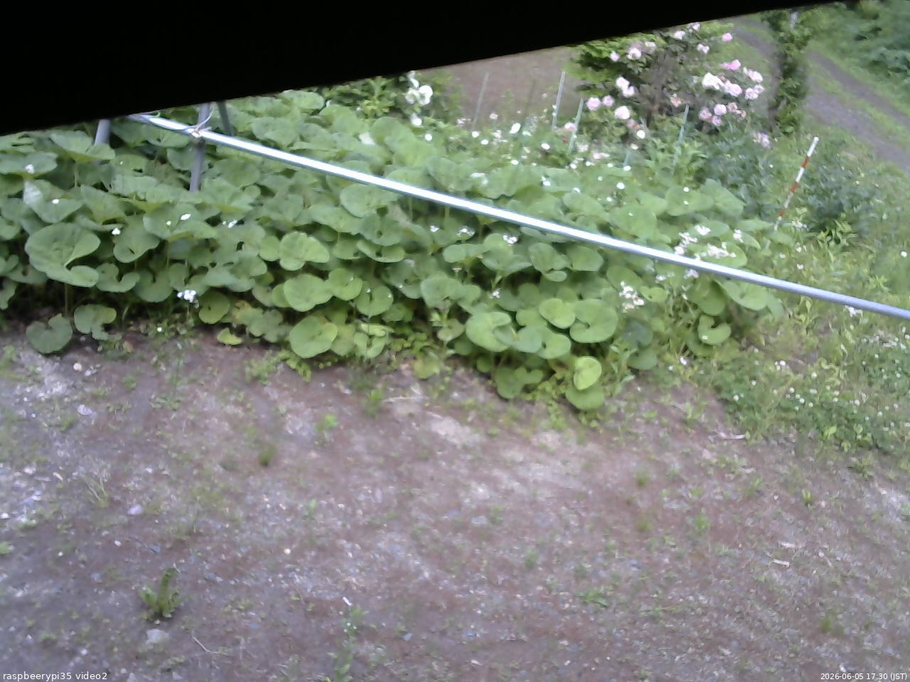 長野県菅平高原 ゆたか山荘 駐車場 2026/06/05 17:30