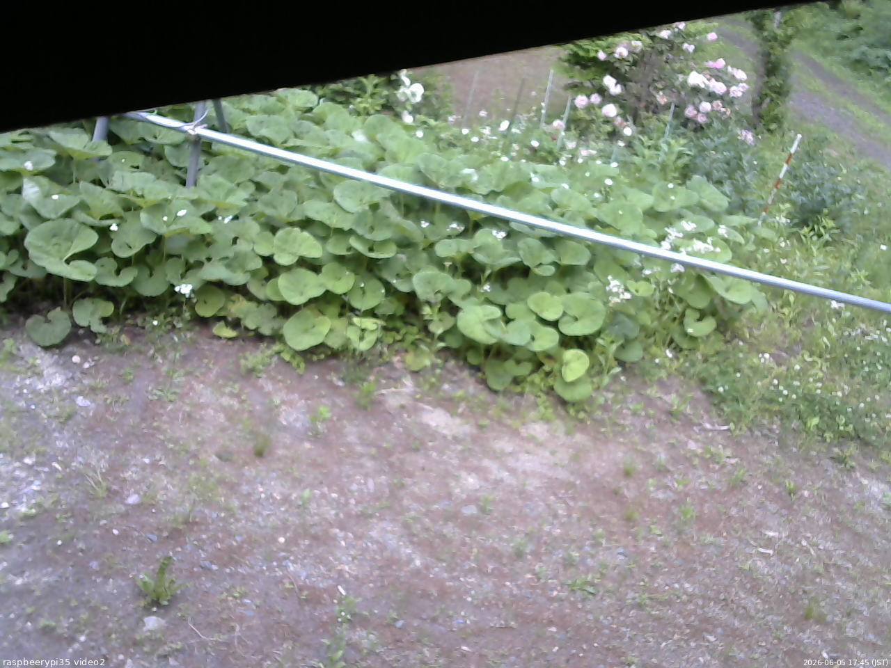 長野県菅平高原 ゆたか山荘 駐車場 2026/06/05 17:45