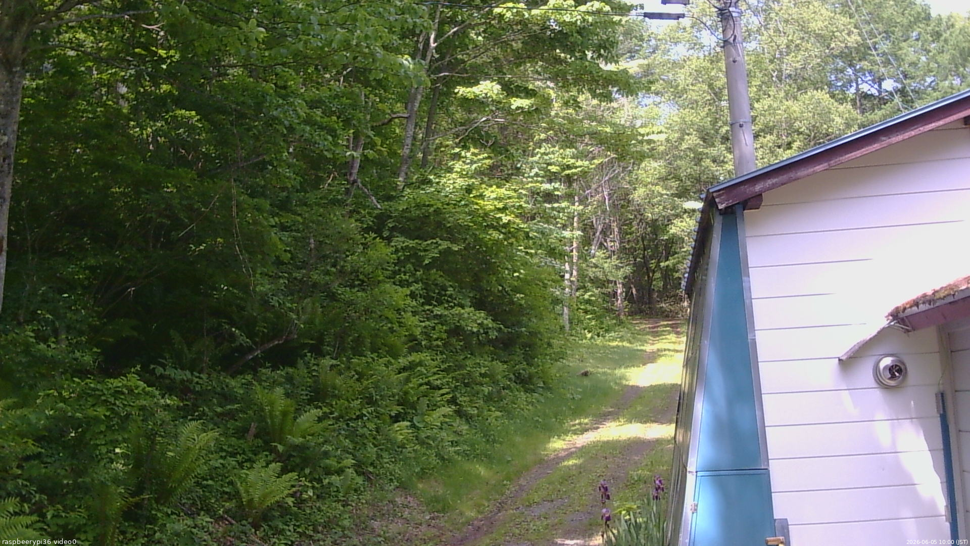 長野県菅平高原 ゆたか山荘 ゆたか山荘 2026/06/05 10:00