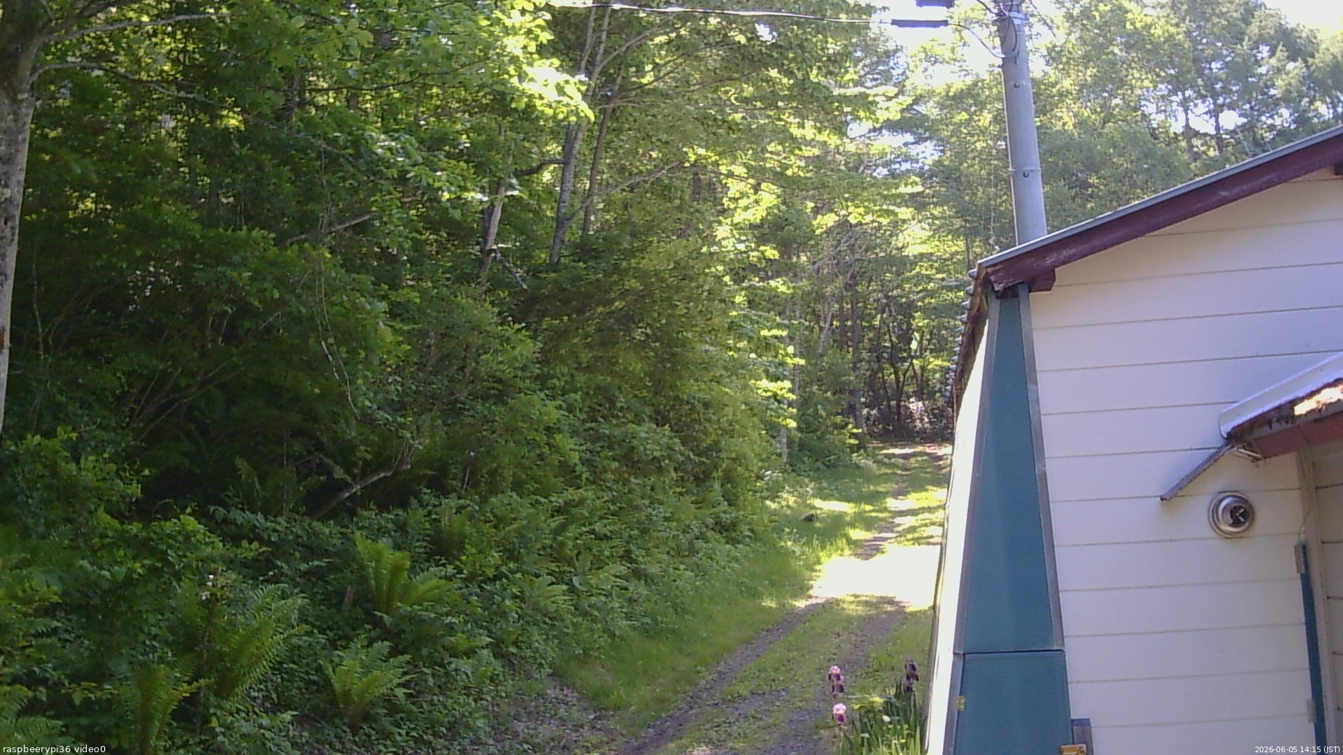 長野県菅平高原 ゆたか山荘 ゆたか山荘 2026/06/05 14:15
