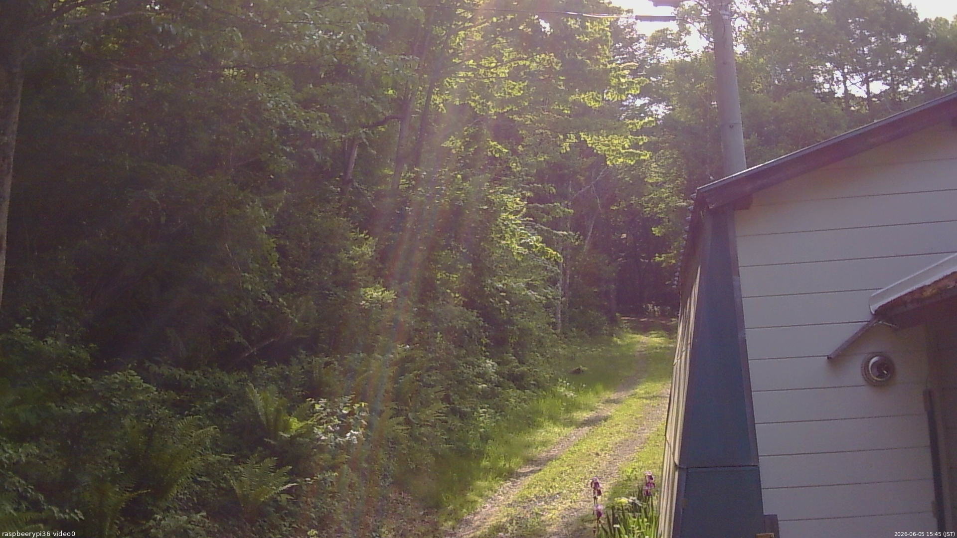 長野県菅平高原 ゆたか山荘 ゆたか山荘 2026/06/05 15:45
