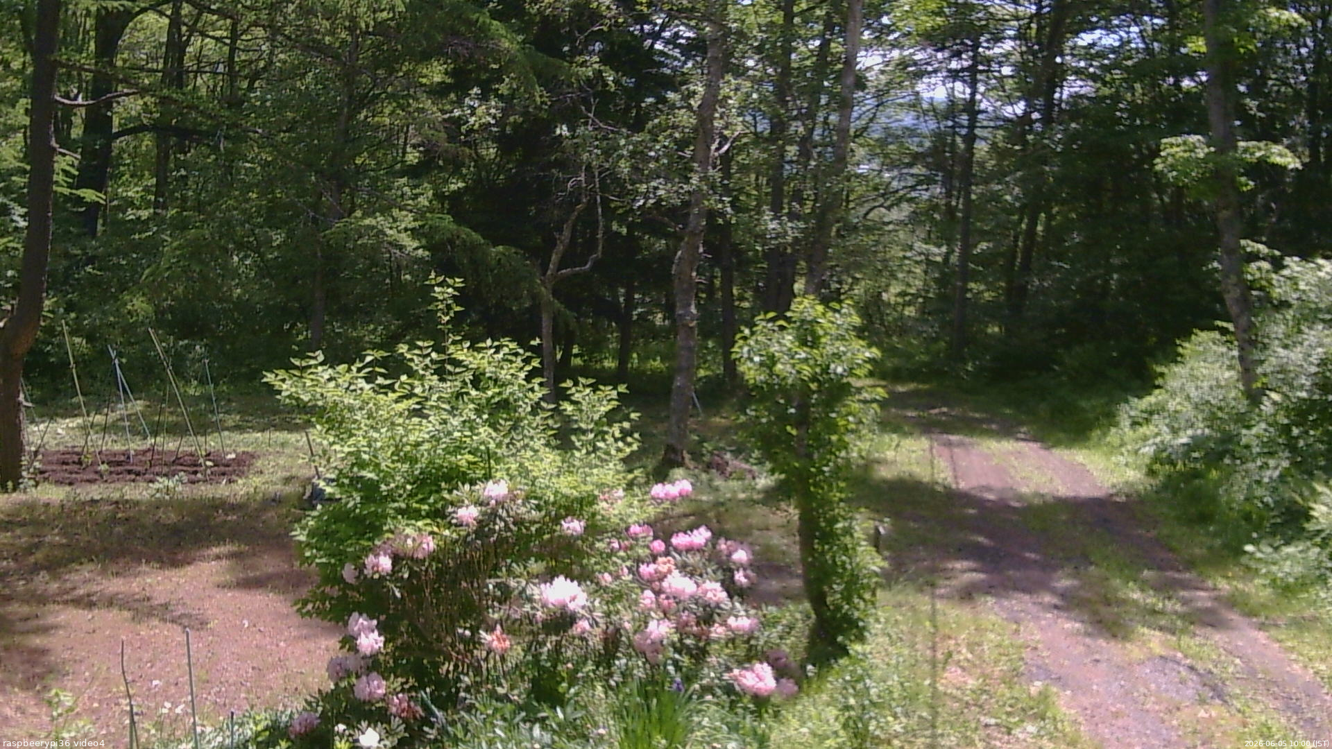 長野県菅平高原 ゆたか山荘 坂上 2026/06/05 10:00