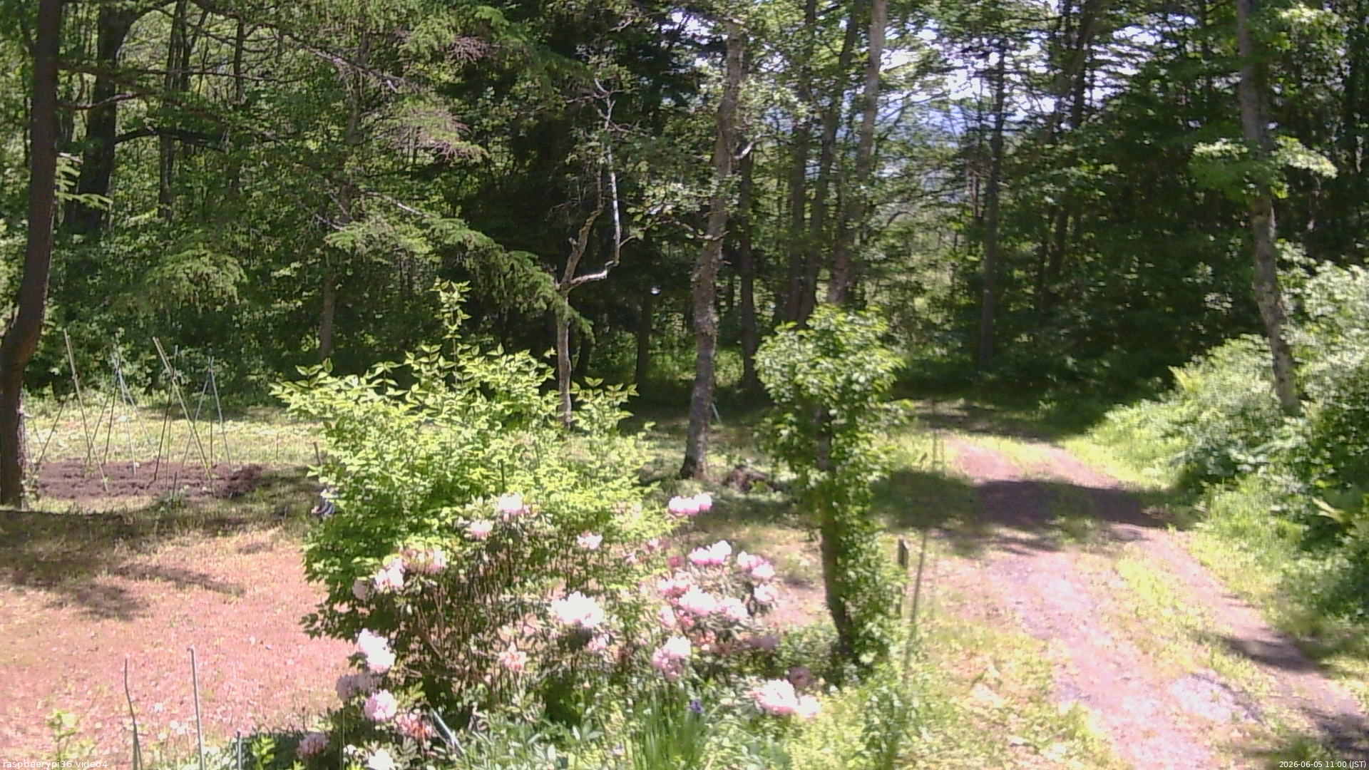 長野県菅平高原 ゆたか山荘 坂上 2026/06/05 11:00