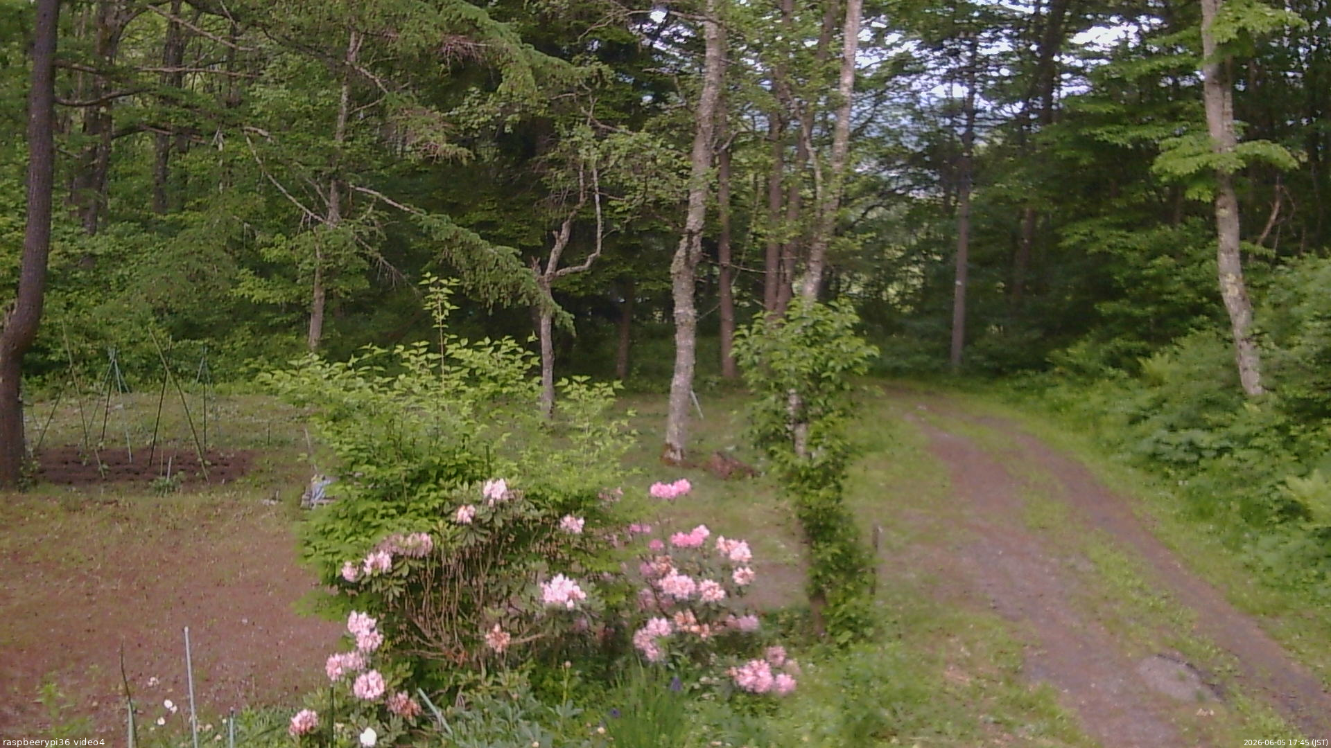 長野県菅平高原 ゆたか山荘 坂上 2026/06/05 17:45