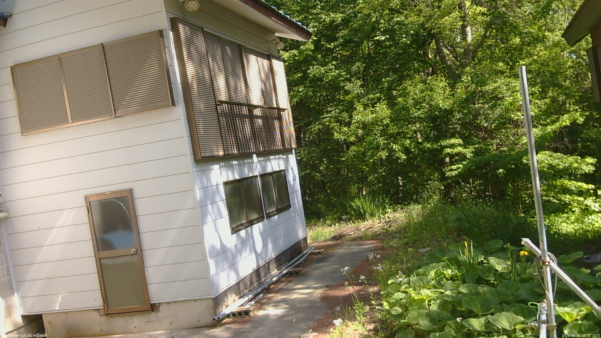 長野県菅平高原 ゆたか山荘 坂下 2026/06/05 08:30
